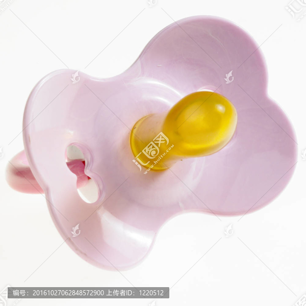 笨蛋