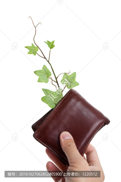 錢包和植物