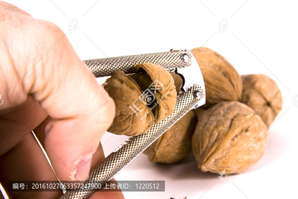 開裂的核桃