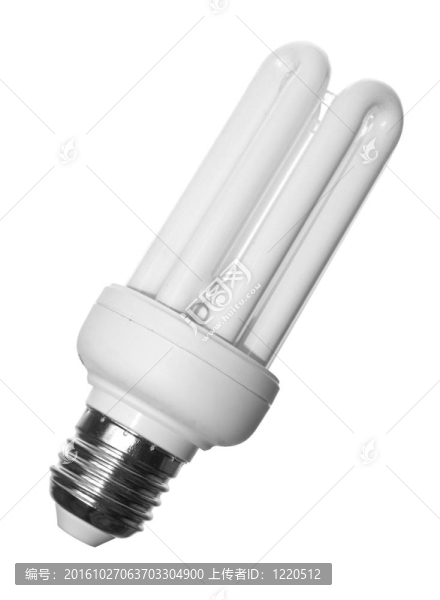 電燈泡