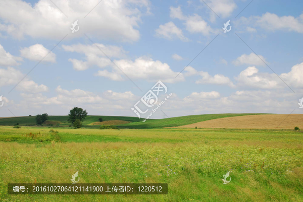 春天的風(fēng)景