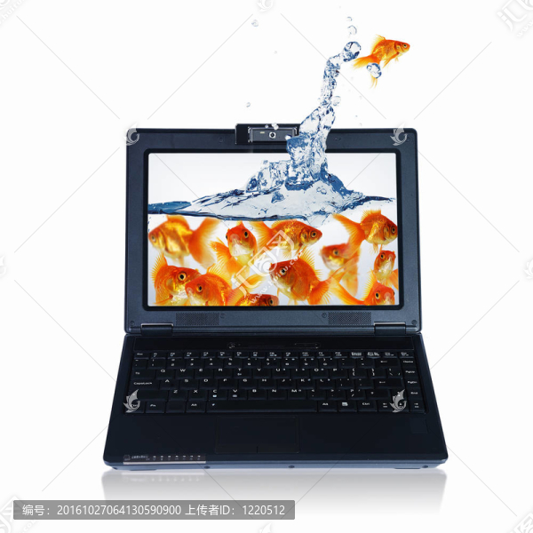 金魚和筆記本
