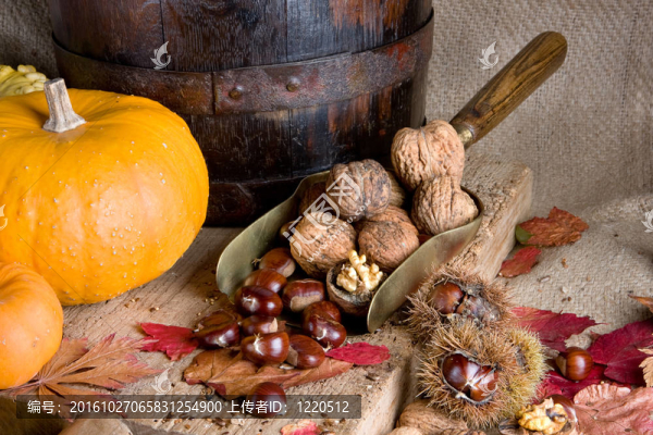 大南瓜小堅(jiān)果