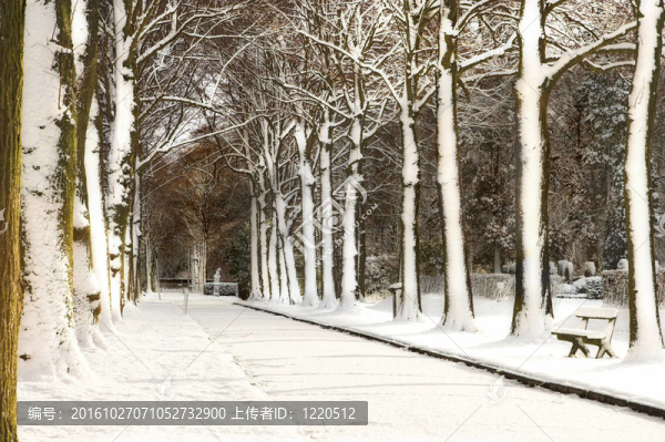 雪巷