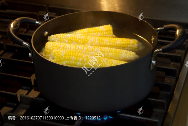 玉米穗