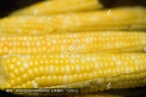 玉米穗