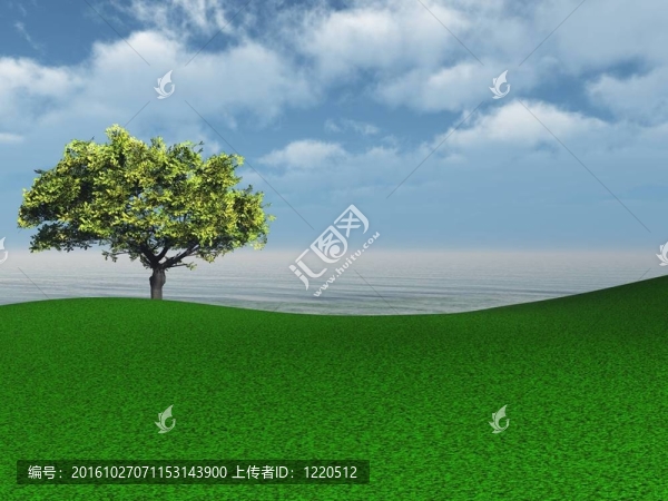 景觀