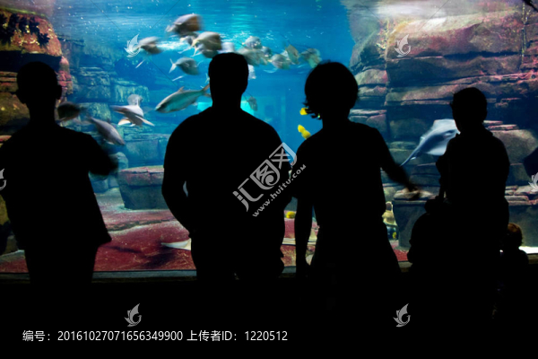 人們觀(guān)看水族館