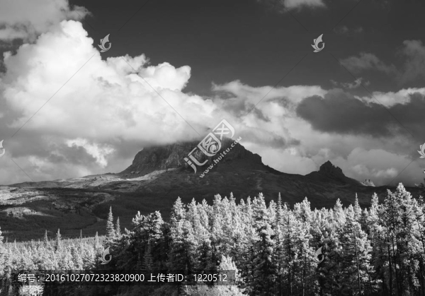 大酋長山