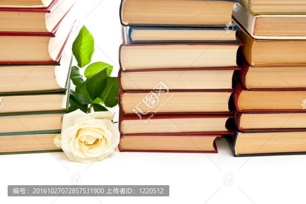 玫瑰和書