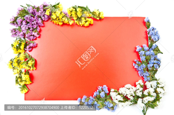 鮮花隔離紅卡
