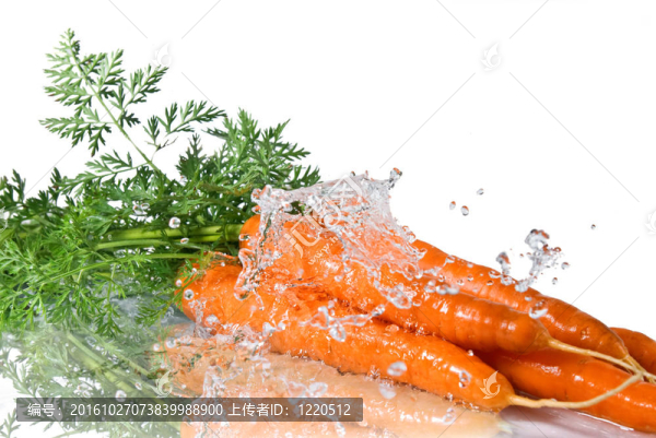 白蘿卜上的淡水飛濺
