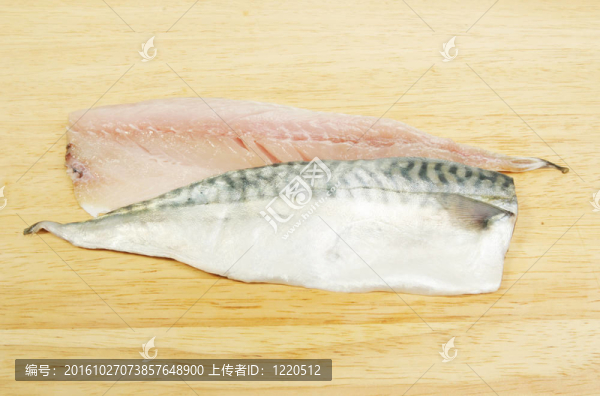 鯖魚