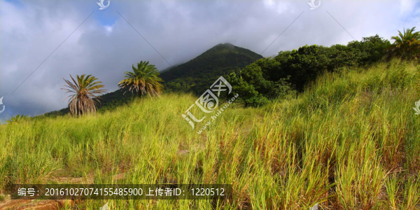 圣基茨島山liamuiga