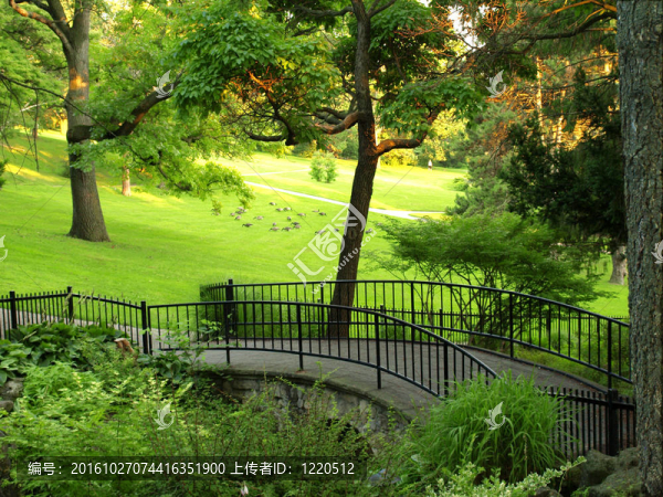公園的橋