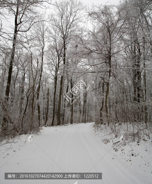 積雪的路上