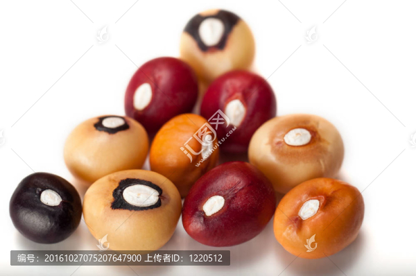 jugo豆