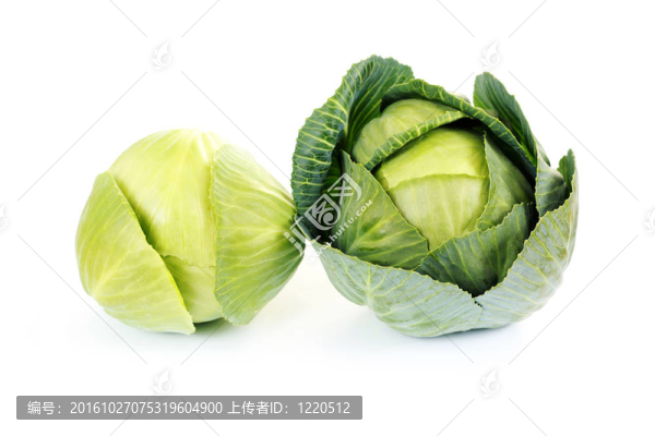 綠色卷心菜