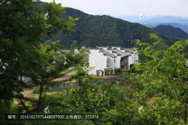 東陽天山村