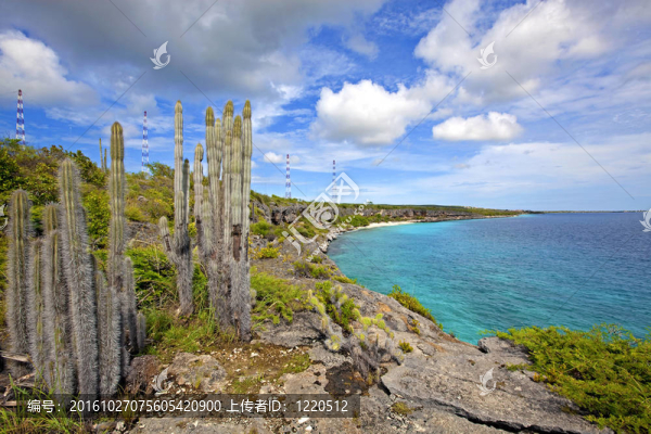 在博內(nèi)爾島美麗的海岸線(xiàn)的看法