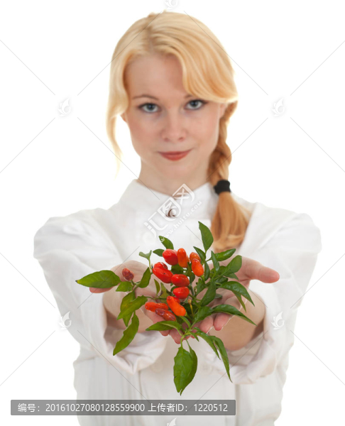 年輕的廚師的女人堆意大利辣味香腸辣椒；
