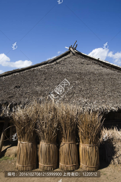龍目島山寨