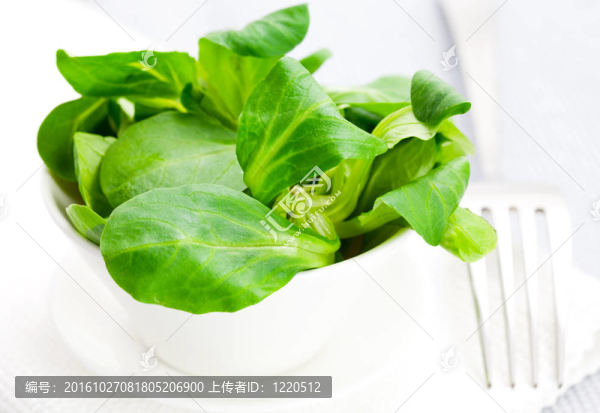 羔羊生菜碗