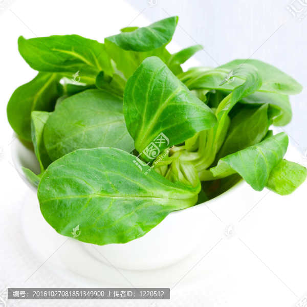羔羊的生菜
