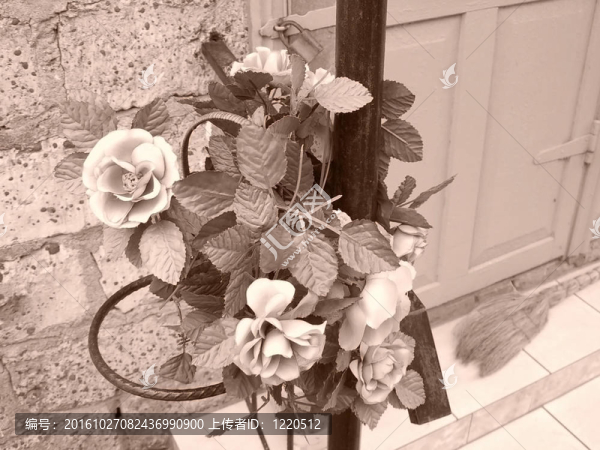 一束玫瑰；flowerses；標本；
