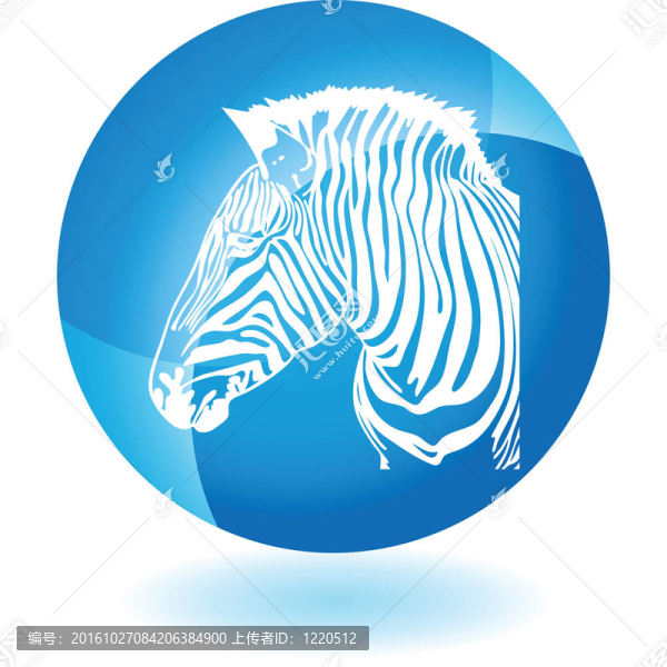 斑馬