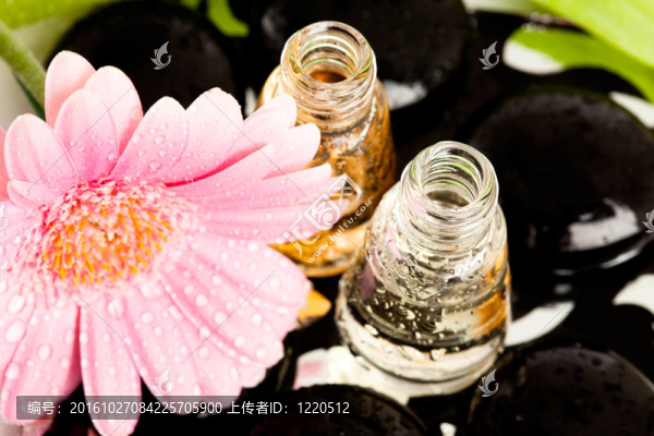水療要領(lǐng)（寶石花和瓶油）