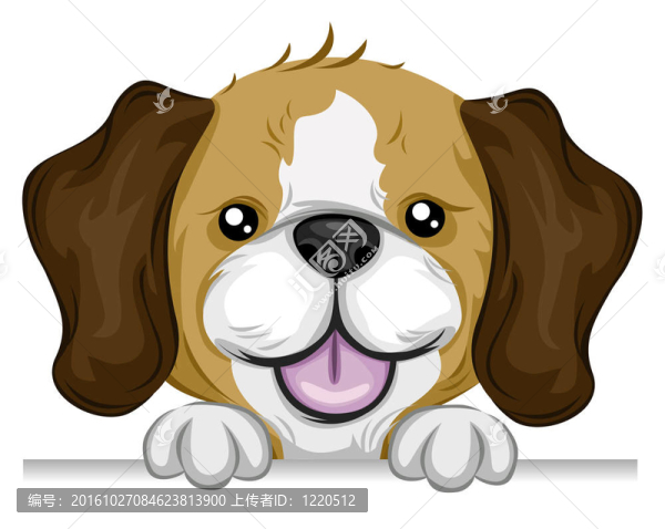 比格犬