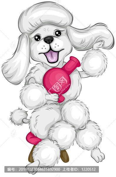 貴賓犬美容