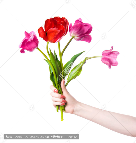 女人手上的花