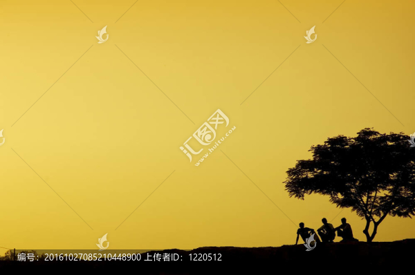 日落時分坐在樹旁的三個人剪影