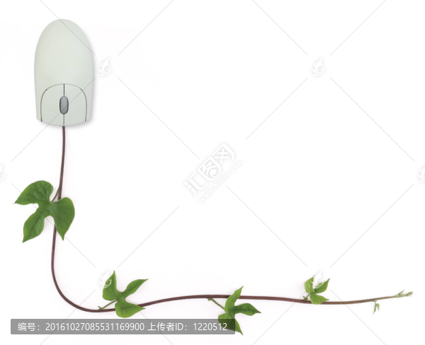 計(jì)算機(jī)鼠標(biāo)和葡萄樹(shù)的邊界