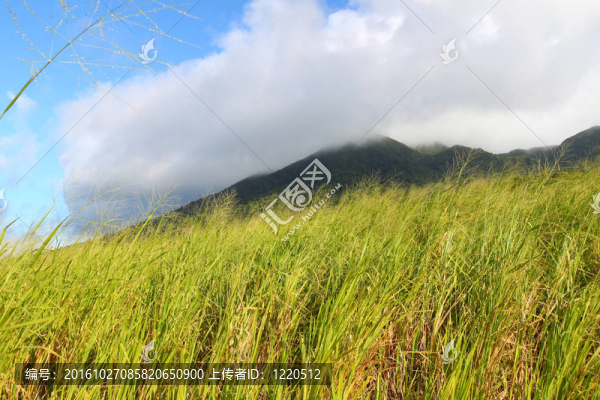 圣基茨島山liamuiga