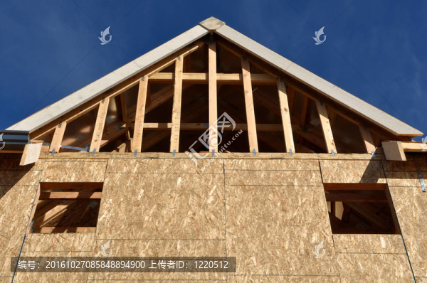 建筑新家園