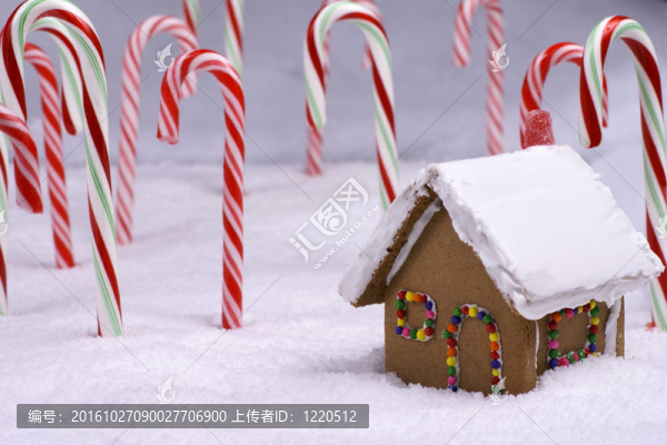 圣誕姜餅面包小屋在甘蔗林