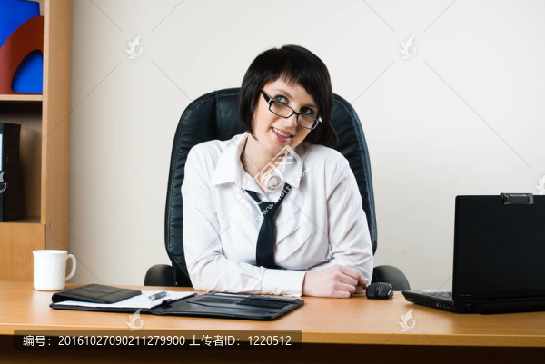 商業(yè)女人與筆記本電腦