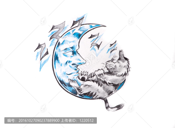 紋身藝術(shù)；月亮和貓的素描