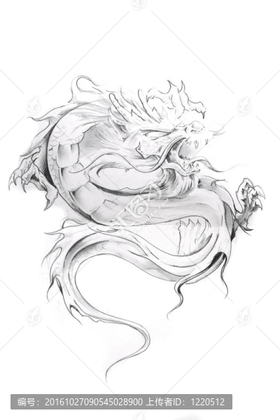 紋身藝術；東方龍素描