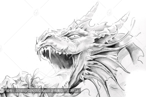 紋身藝術(shù)；一個(gè)中世紀(jì)的龍的素描