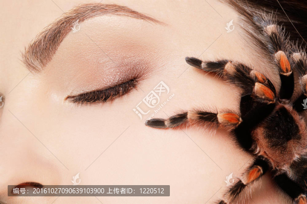 女孩與蜘蛛