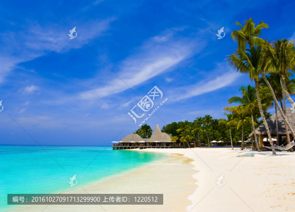熱帶海灘上的咖啡館和棕櫚樹