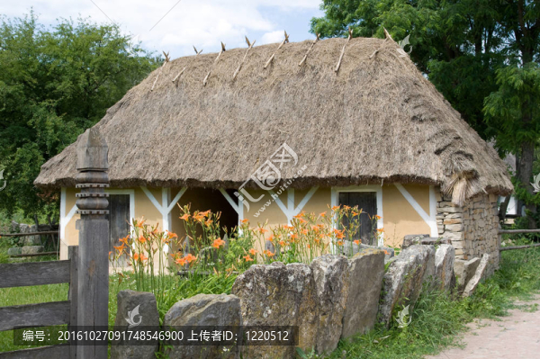 鄉(xiāng)村景觀