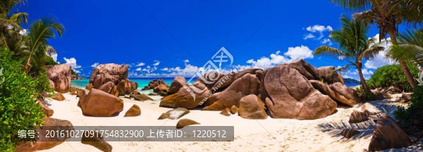 熱帶海灘全景