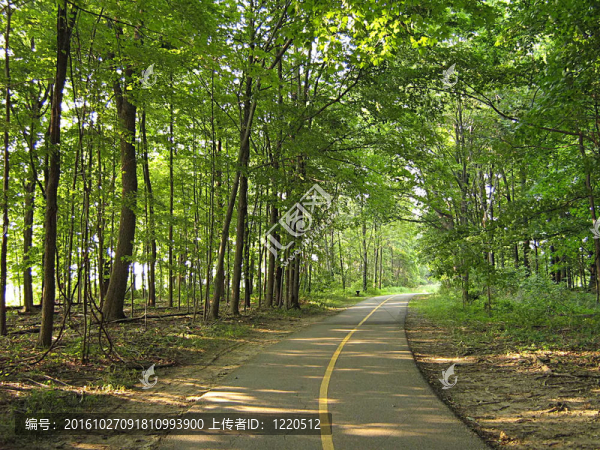 登山步道