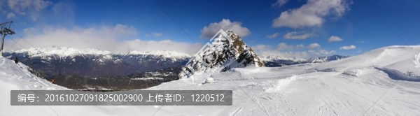 在山上度假