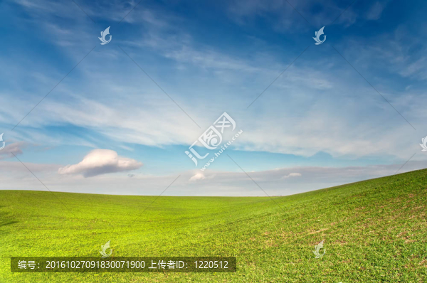 綠色的田野在藍天下